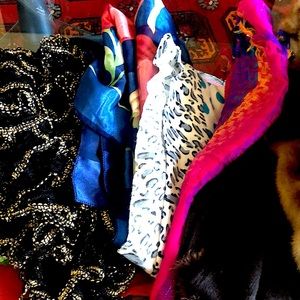 Assorted bundle of Scarfs! Various colors and textures.